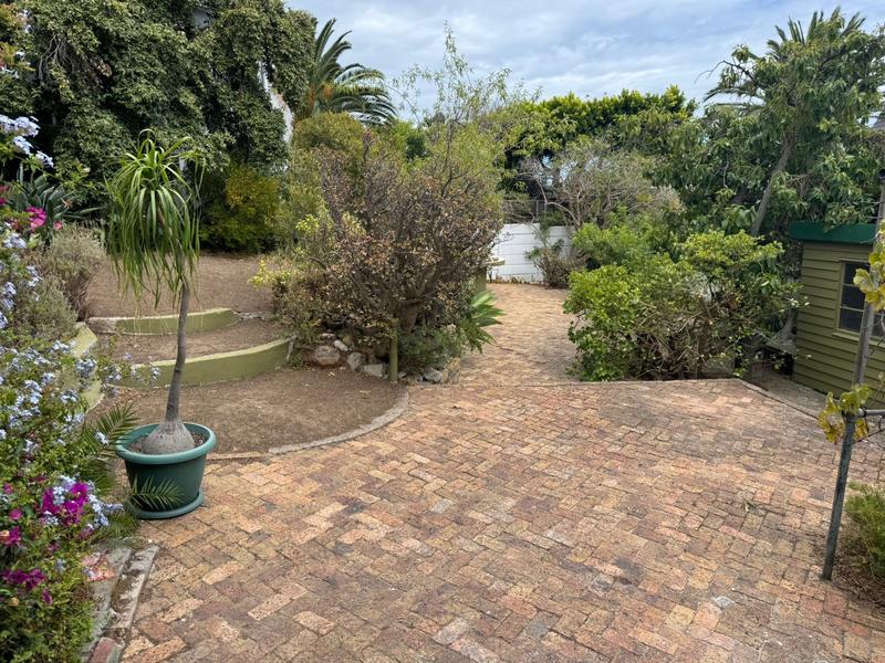 To Let 3 Bedroom Property for Rent in Green Point Western Cape